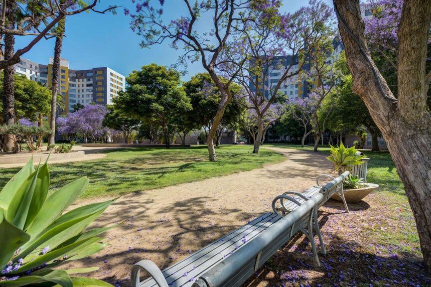 Spacious With Stellar Views Near The Grove *